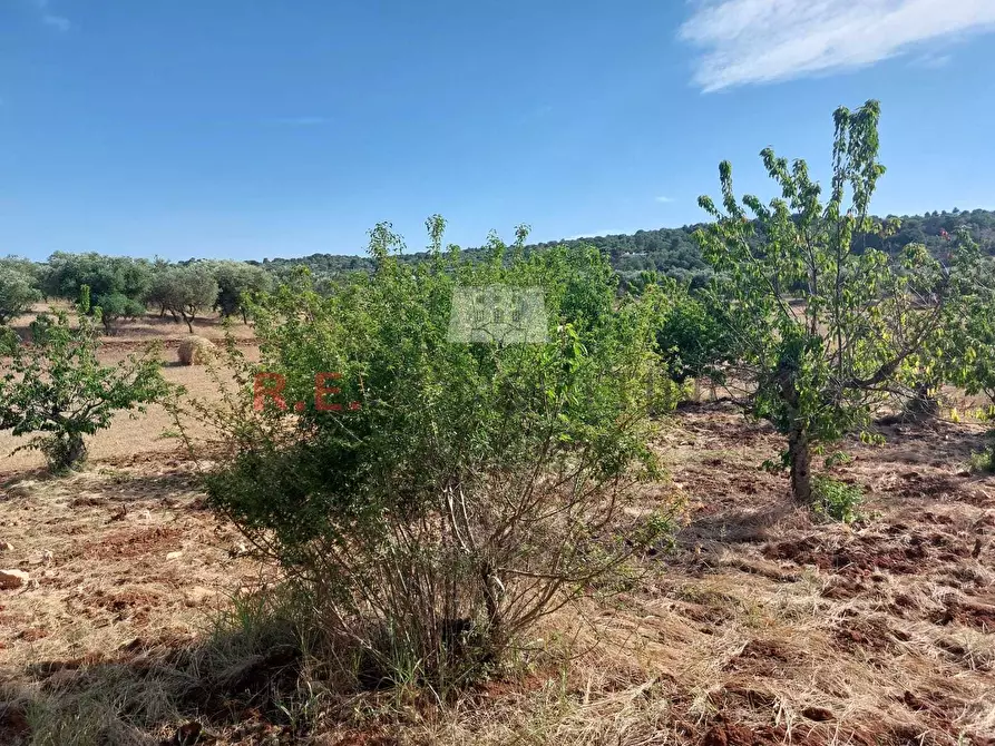Immagine 12 di Casa indipendente in vendita  in strada sacramento a Ceglie Messapico