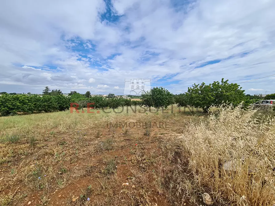 Immagine 20 di Baita in vendita  in Via ospedale a Martina Franca