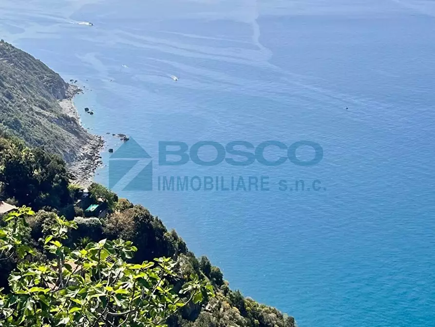 Immagine 11 di Rustico / casale in vendita  in Via Tramonti a La Spezia