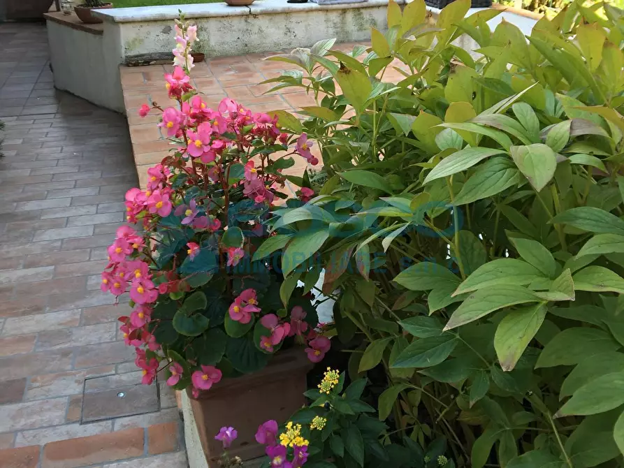 Immagine 6 di Casa bifamiliare in vendita  in Via Canale a Castelnuovo Magra