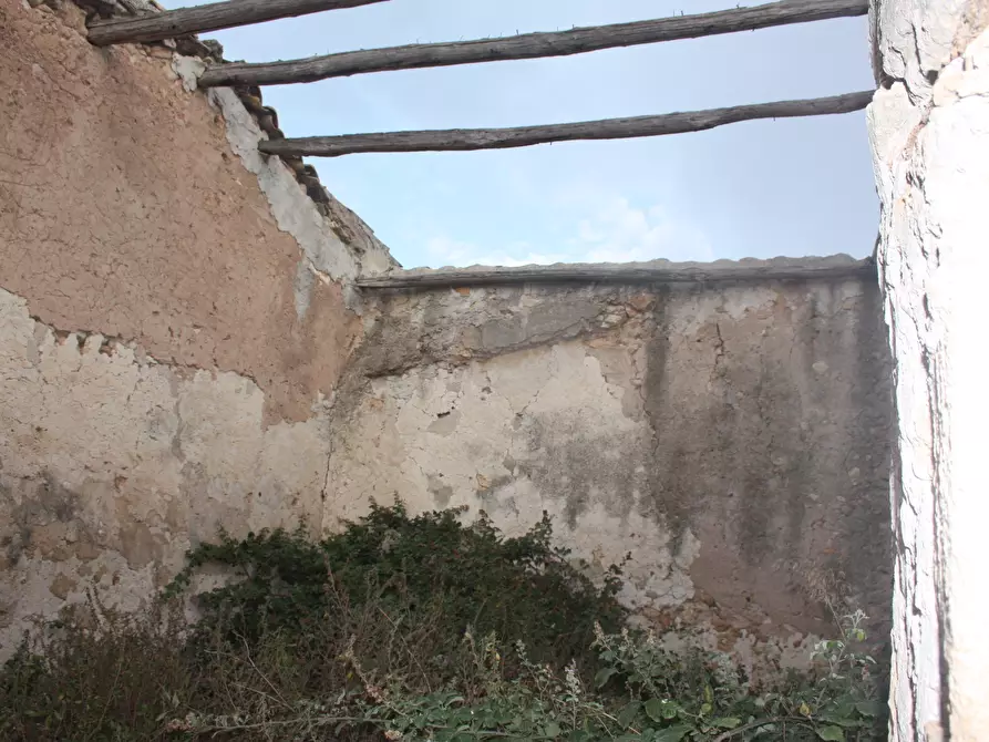 Immagine 4 di Capannone industriale in vendita  in contrada santa teresa longarini a Siracusa