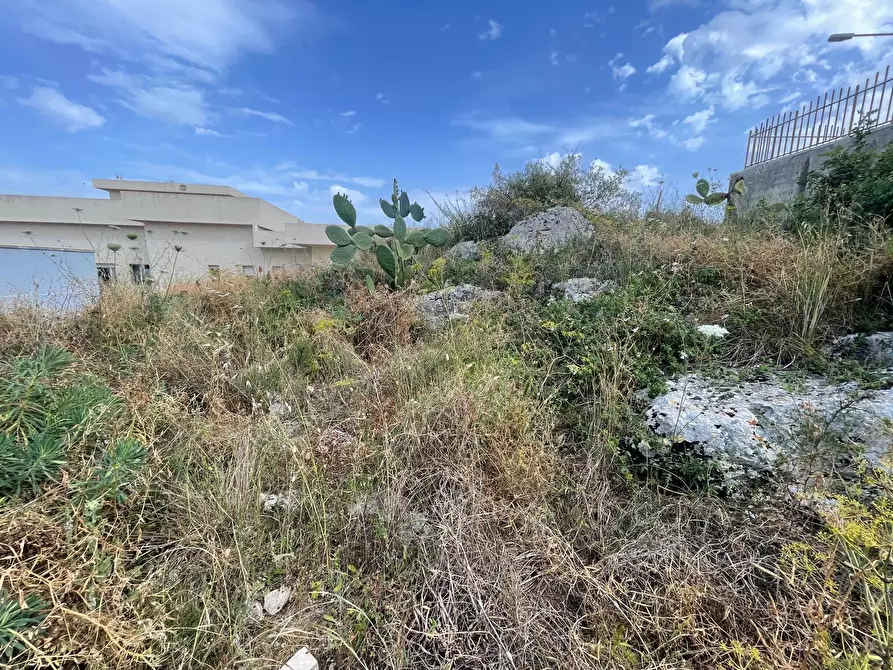 Immagine 3 di Terreno agricolo in vendita  in SOLARINO a Solarino
