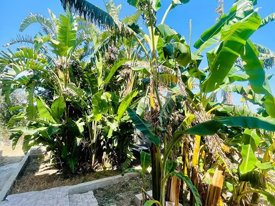 Immagine 10 di Casa indipendente in vendita  in Strada Benali 190 a Siracusa