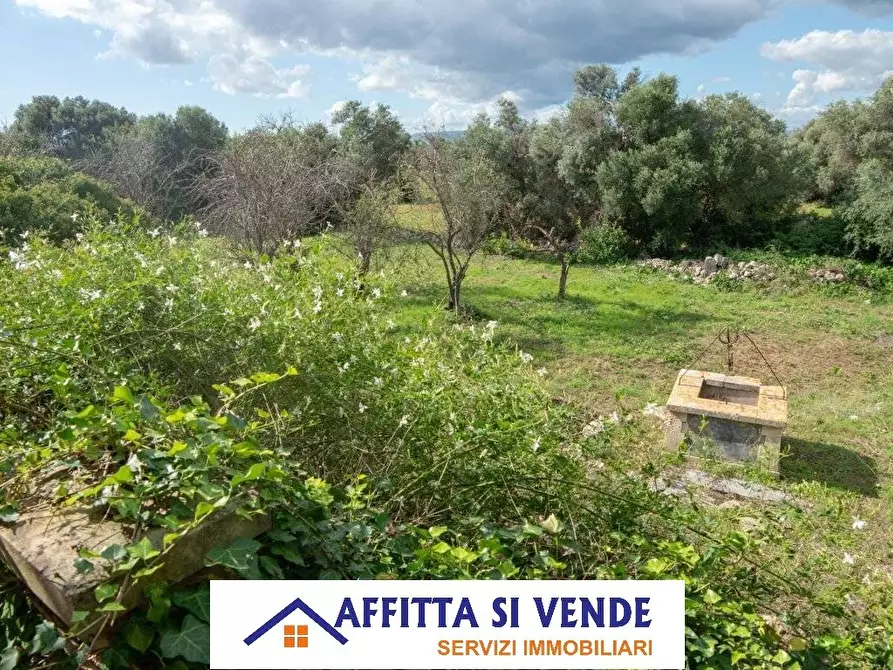 Immagine 22 di Rustico / casale in vendita  in isola a Siracusa