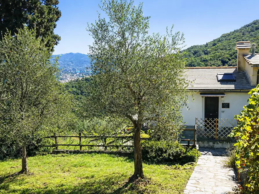 Immagine 6 di Casa bifamiliare in vendita  a Santa Margherita Ligure
