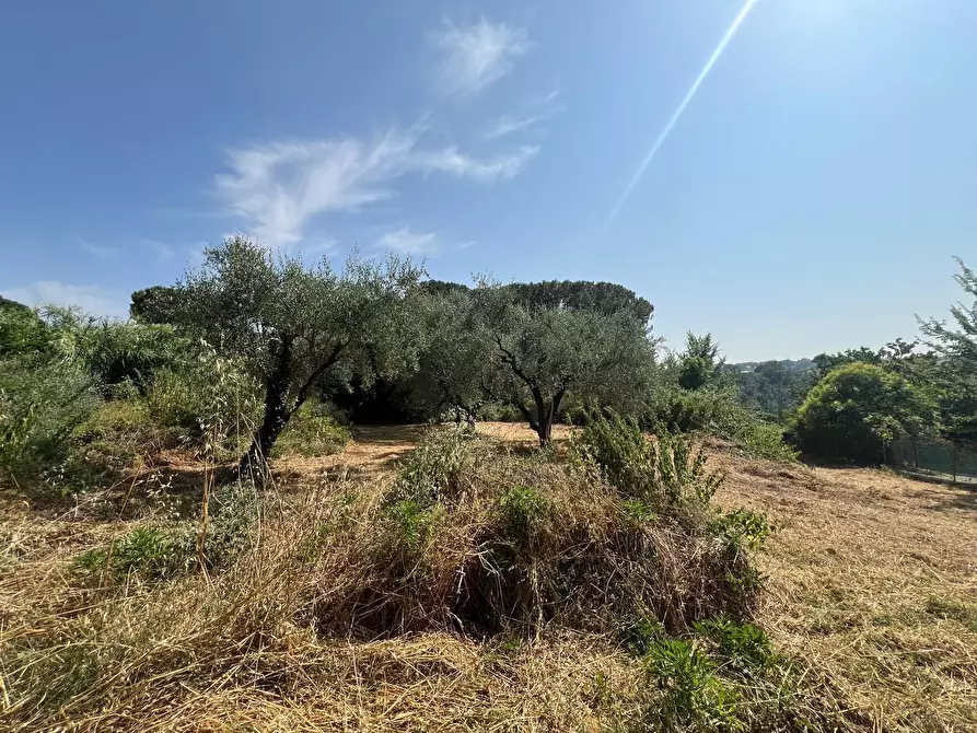 Immagine 20 di Villa in vendita  a Civitella San Paolo