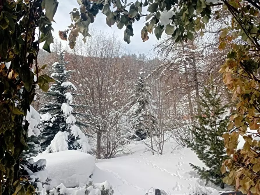 Immagine 37 di Bilocale in vendita  in Via Rohrbach 34 a Pragelato