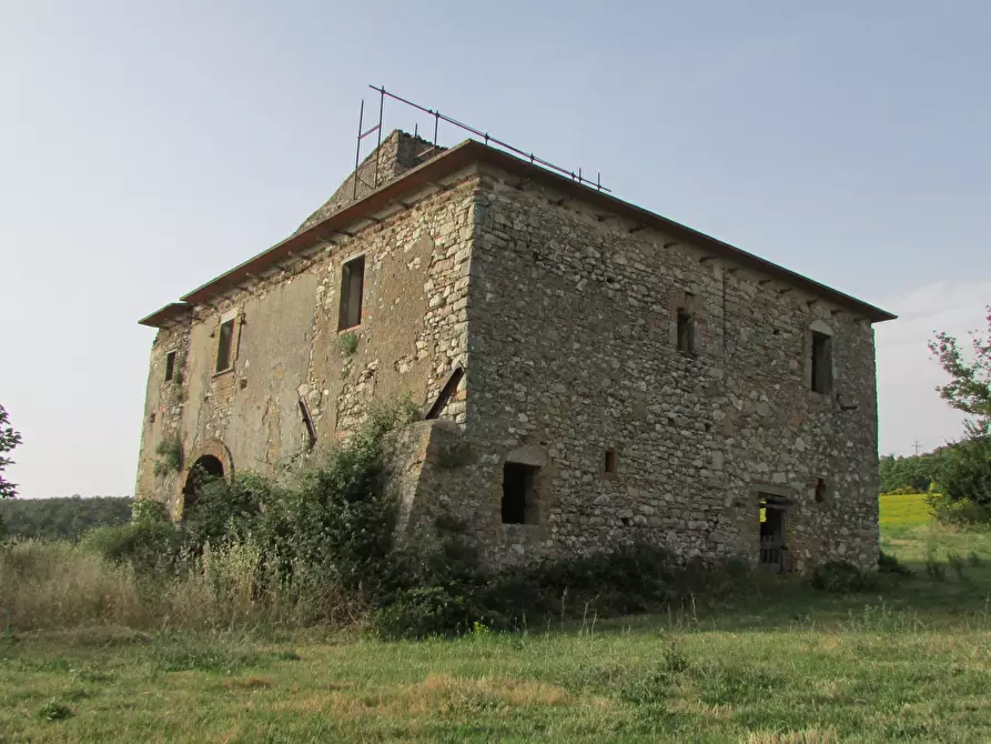 Immagine 17 di Rustico / casale in vendita  a Massa Martana