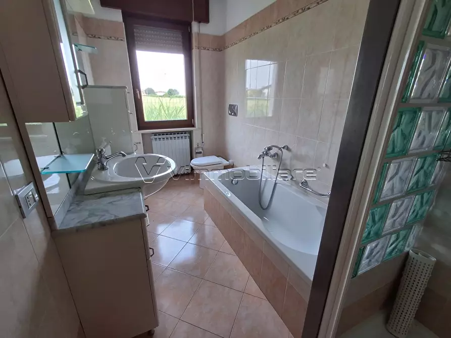 Immagine 16 di Casa bifamiliare in affitto  a Orgiano
