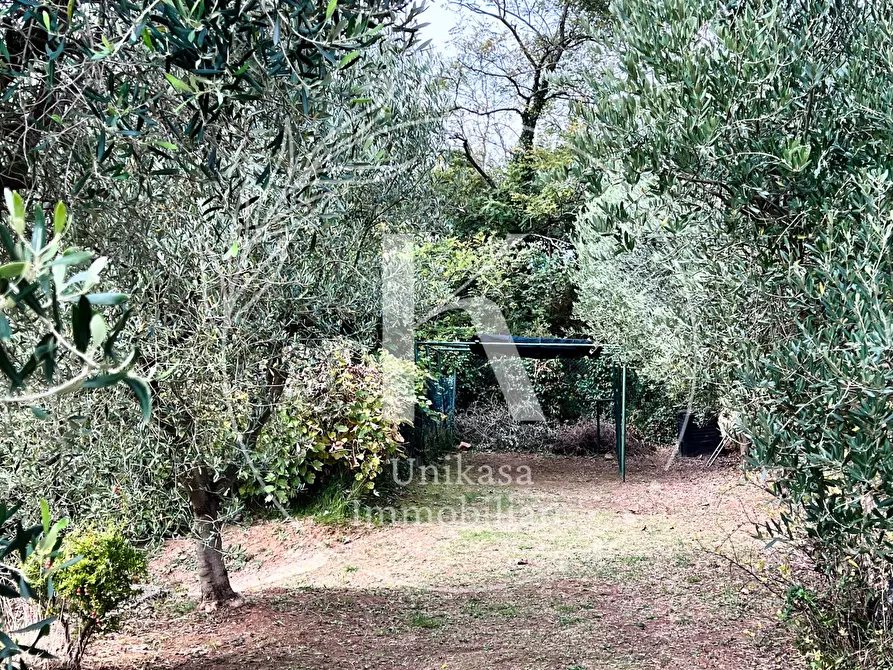 Immagine 18 di Casa indipendente in vendita  in Via Ciantagalletto a Savona