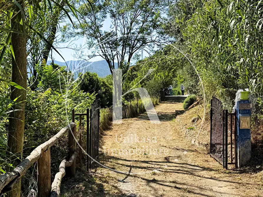 Immagine 2 di Casa indipendente in vendita  in Località Mezzano 22 a Stella