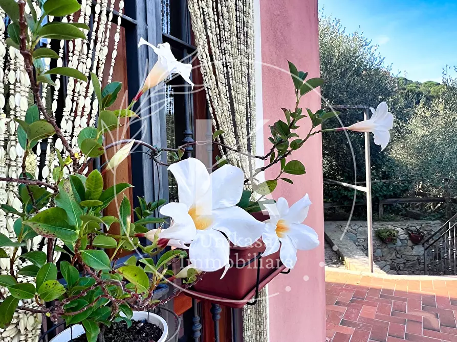 Immagine 21 di Villa in vendita  in Via per Calice a Finale Ligure