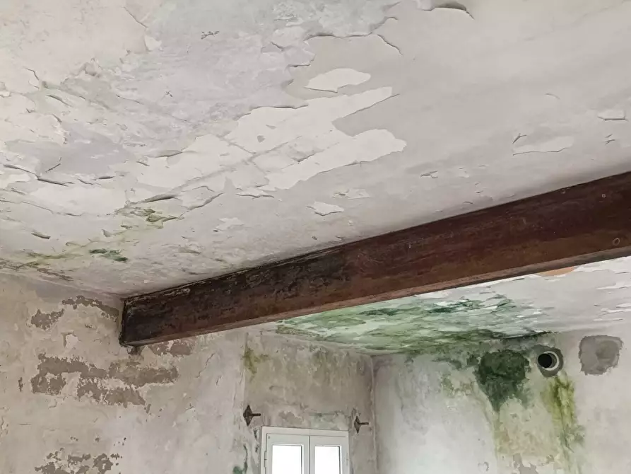 Immagine 23 di Rustico / casale in vendita  in San Bartolomeo del Bosco a Savona