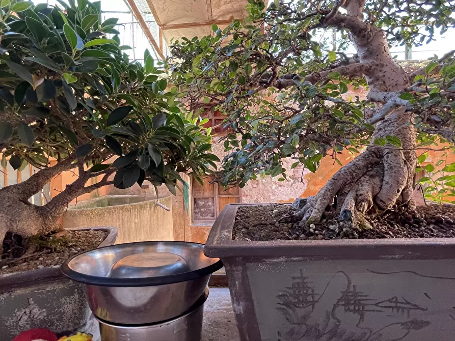 Immagine 18 di Quadrilocale in vendita  in Via Nicolò Cesare Garroni a Savona