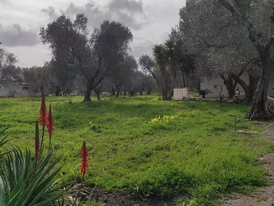 Immagine 4 di Casa indipendente in vendita  in Contrada Santo Scalone a Ostuni
