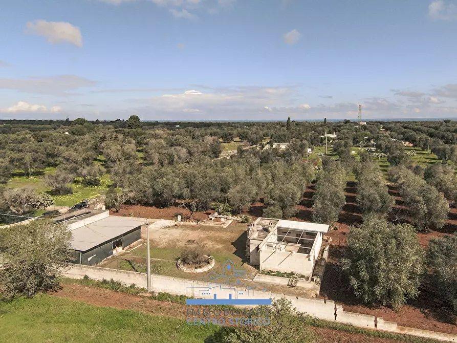 Immagine 5 di Villa in vendita  in contrada sierri a Carovigno