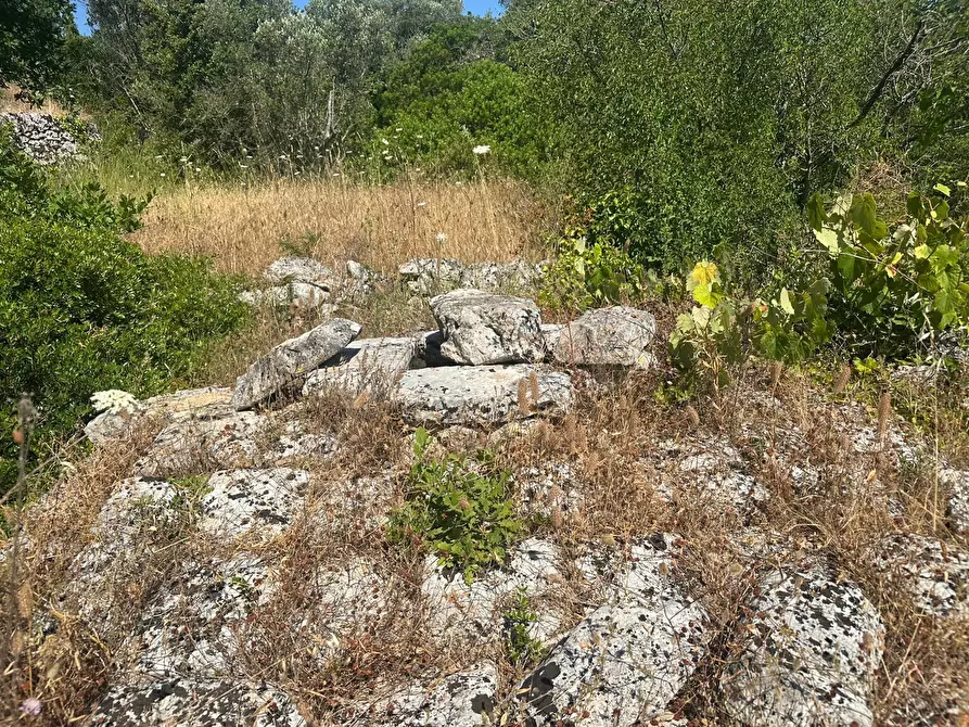 Immagine 13 di Casa indipendente in vendita  in Contrada Galante a Ceglie Messapico
