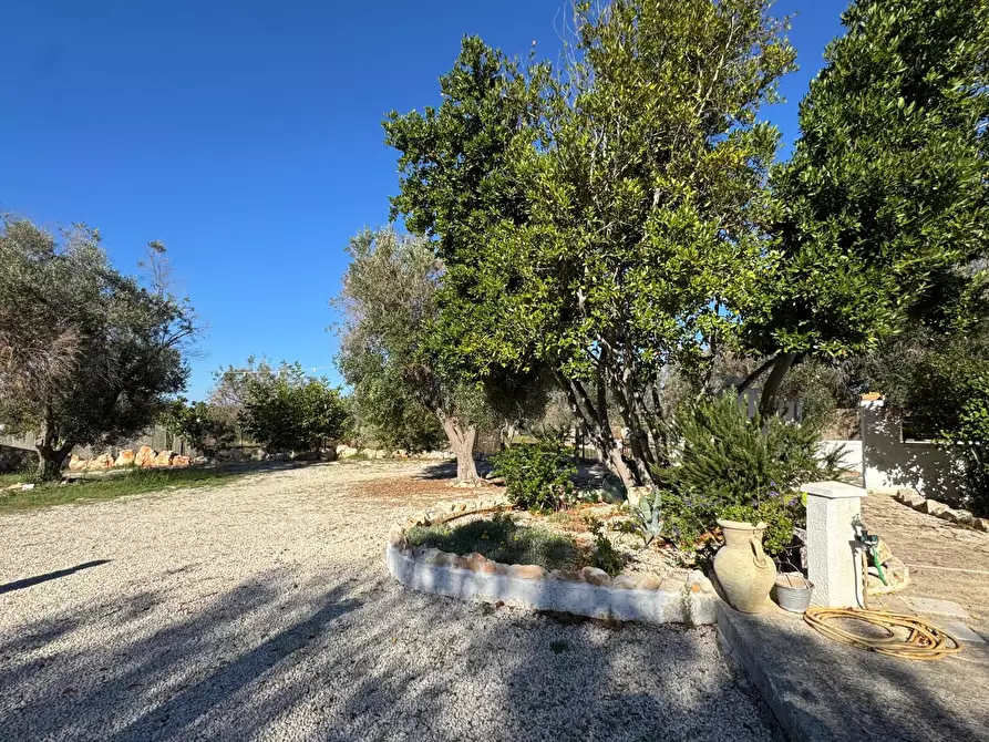 Immagine 10 di Casa indipendente in vendita  in Contrada Grotte a Ostuni