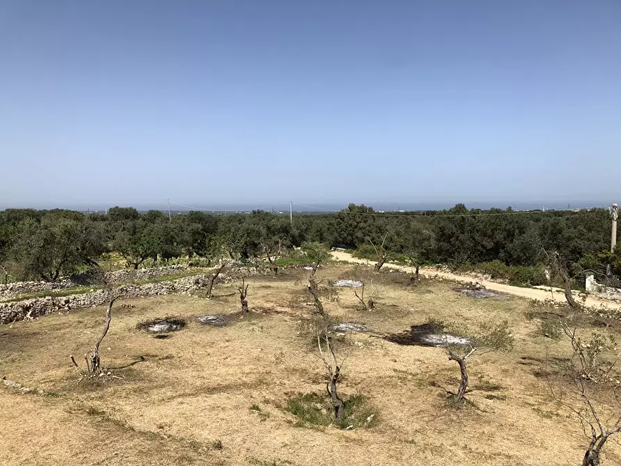 Immagine 10 di Casa indipendente in vendita  in Contrada Malandrino a Ostuni