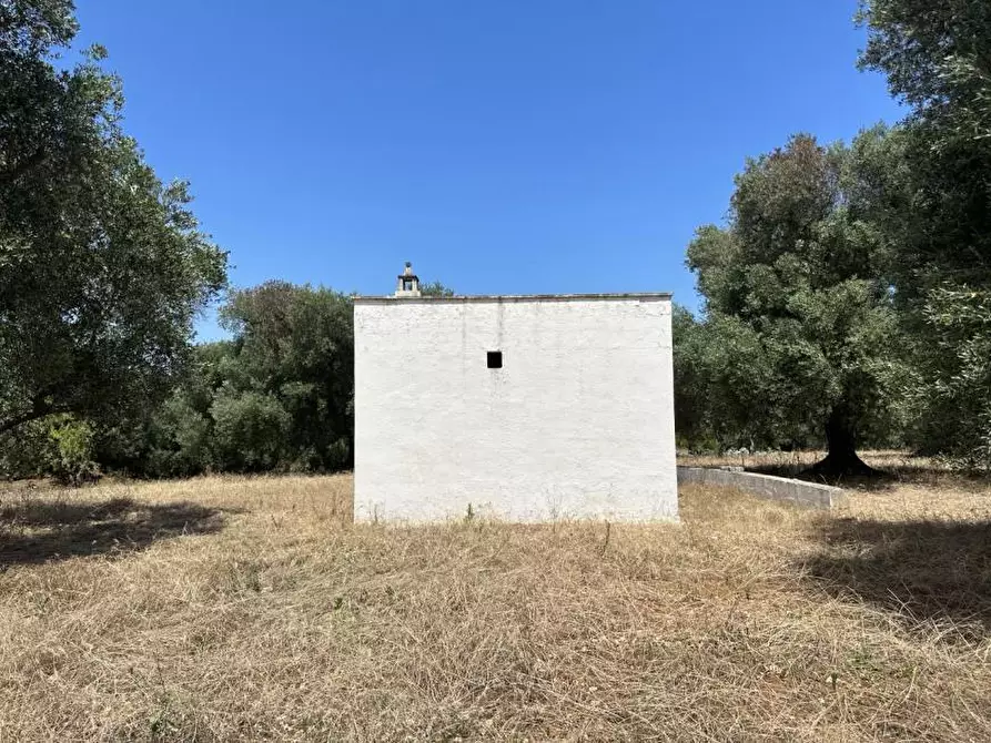 Immagine 5 di Terreno edificabile in vendita  in Contrada Boccadoro a Ostuni