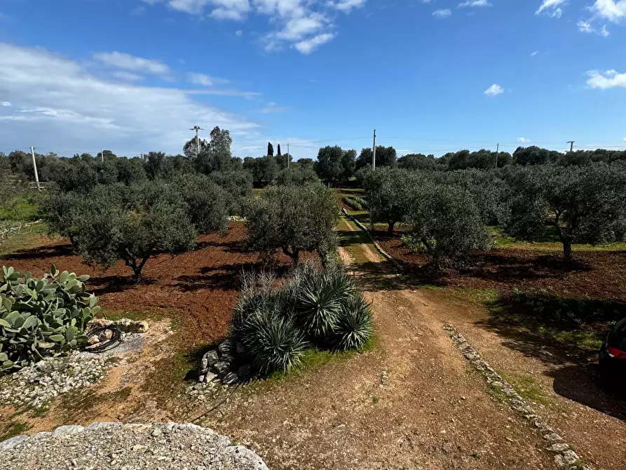 Immagine 19 di Casa indipendente in vendita  in Contrada San Giovanni a Ostuni