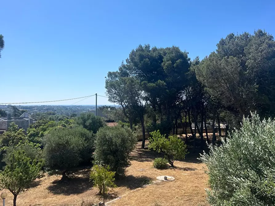 Immagine 9 di Villa in vendita  in Strada Provinciale 17 SNC a Ostuni