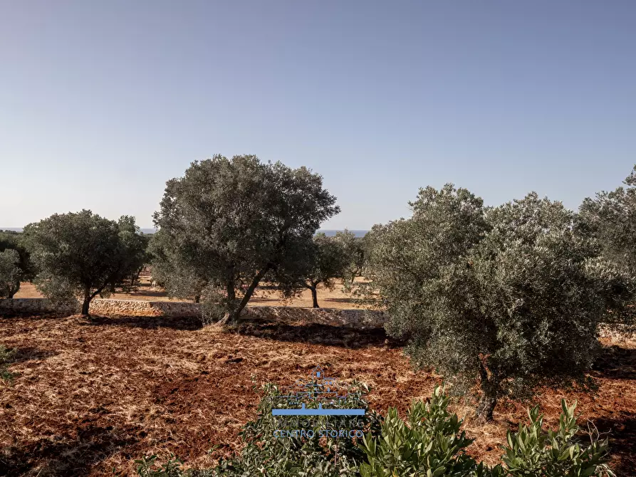Immagine 22 di Casa indipendente in vendita  in Contrada Tamburroni a Ostuni