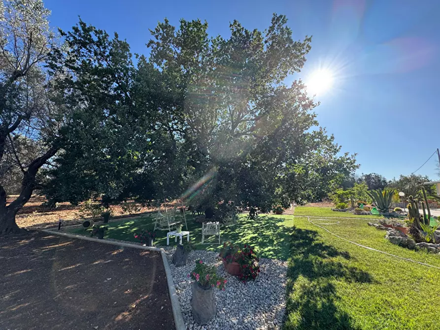 Immagine 4 di Villa in vendita  in Strada Provinciale 29 a Ceglie Messapico