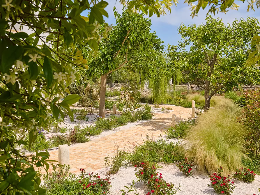 Immagine 61 di Casa indipendente in vendita  in contrada sessana snc a Ostuni