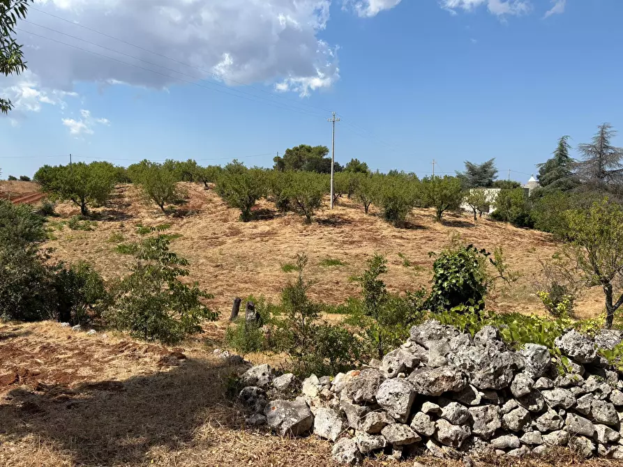 Immagine 25 di Villa in vendita  in Contrada Fantese 38 a Ostuni