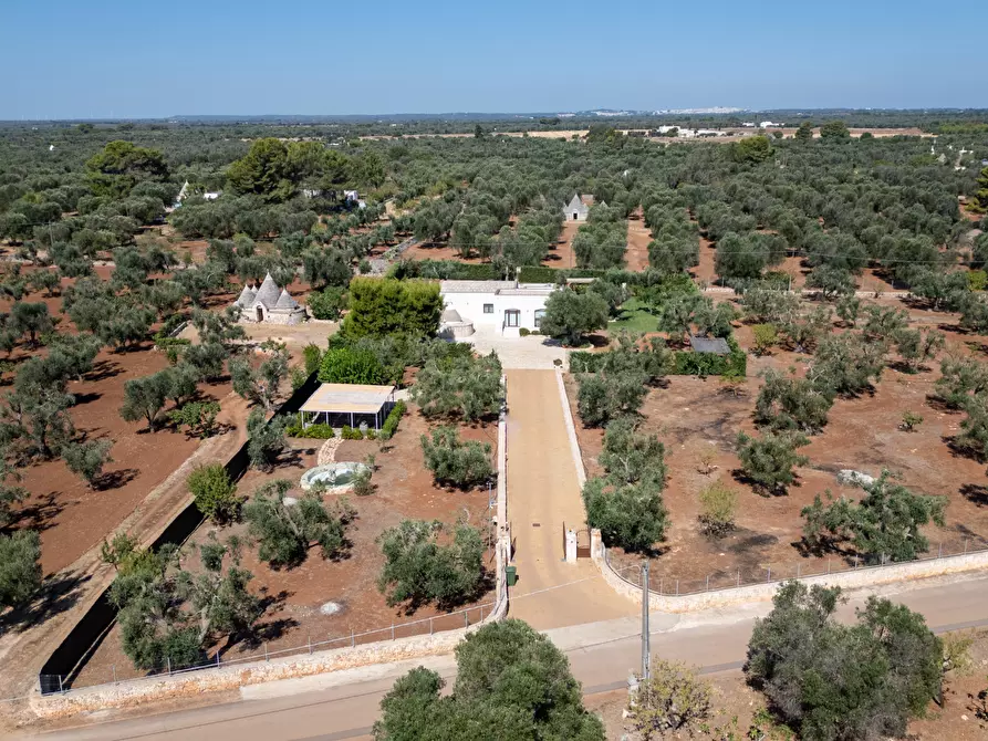 Immagine 12 di Villa in vendita  in contrada augelluzzi a San Michele Salentino