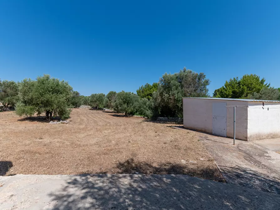 Immagine 38 di Villa in vendita  in contrada san benedetto a Ostuni