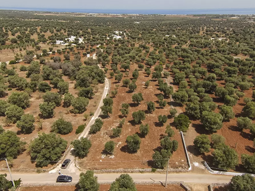 Immagine 6 di Terreno edificabile in vendita  in Contrada Specchia a Carovigno