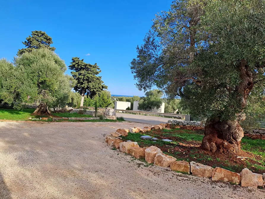 Immagine 25 di Casa indipendente in vendita  in Corso Giuseppe Mazzini a Ostuni