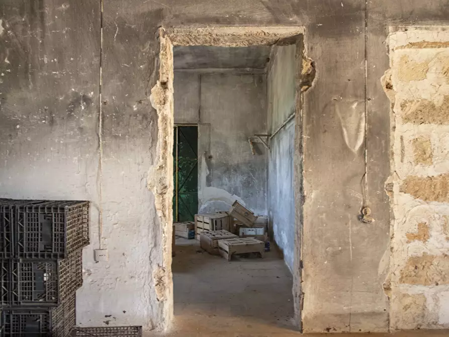 Immagine 15 di Rustico / casale in vendita  in Contrada San Francesco a Carovigno