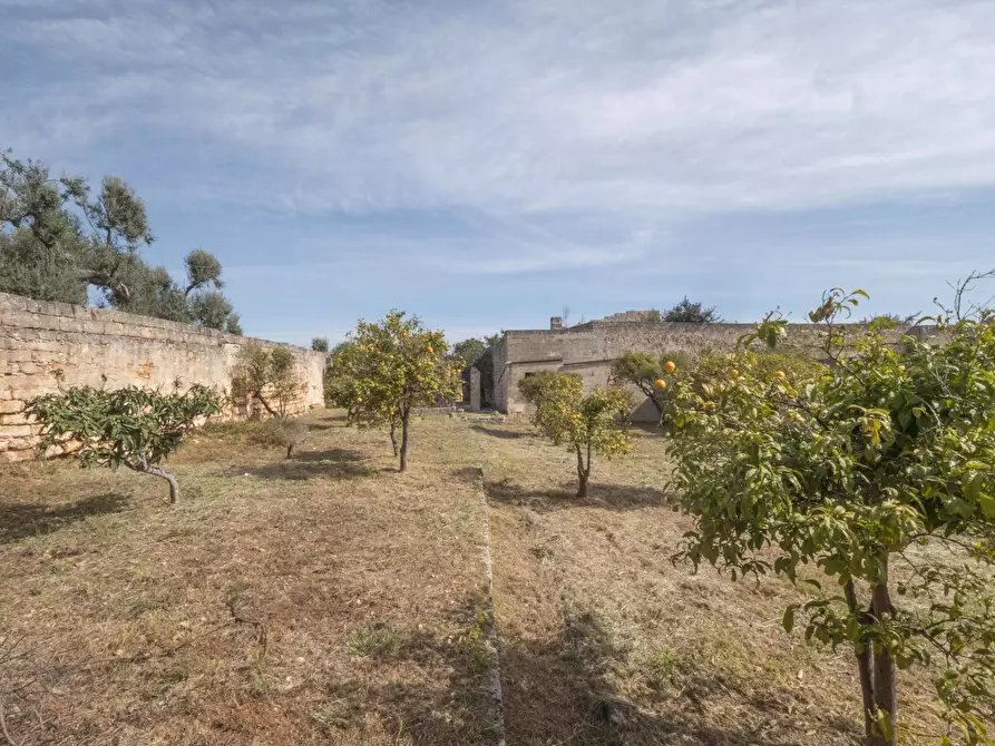 Immagine 22 di Rustico / casale in vendita  a Ostuni