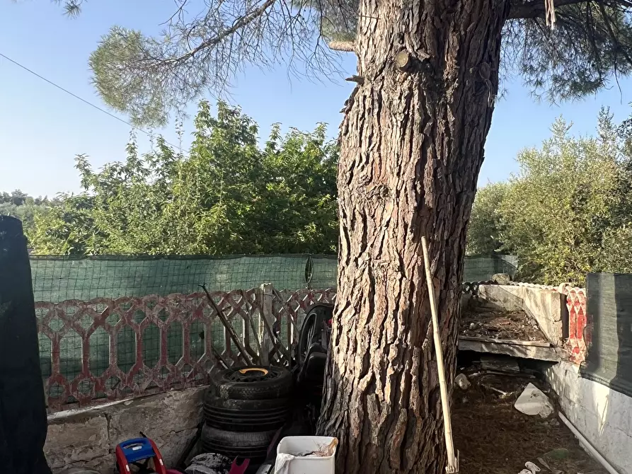 Immagine 5 di Rustico / casale in vendita  in Strada Provinciale 14 4 a Ostuni