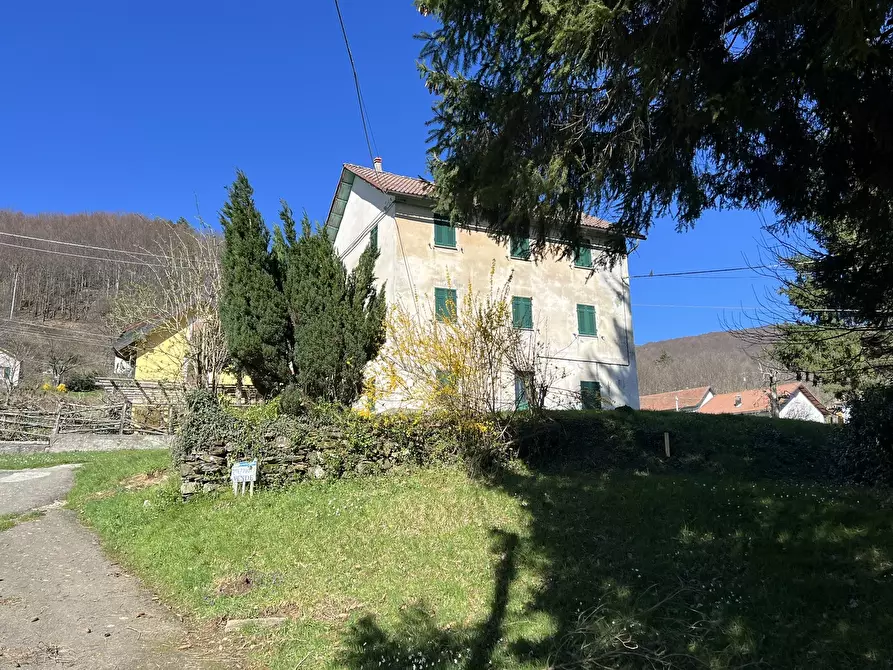 Immagine 6 di Rustico / casale in vendita  a Urbe