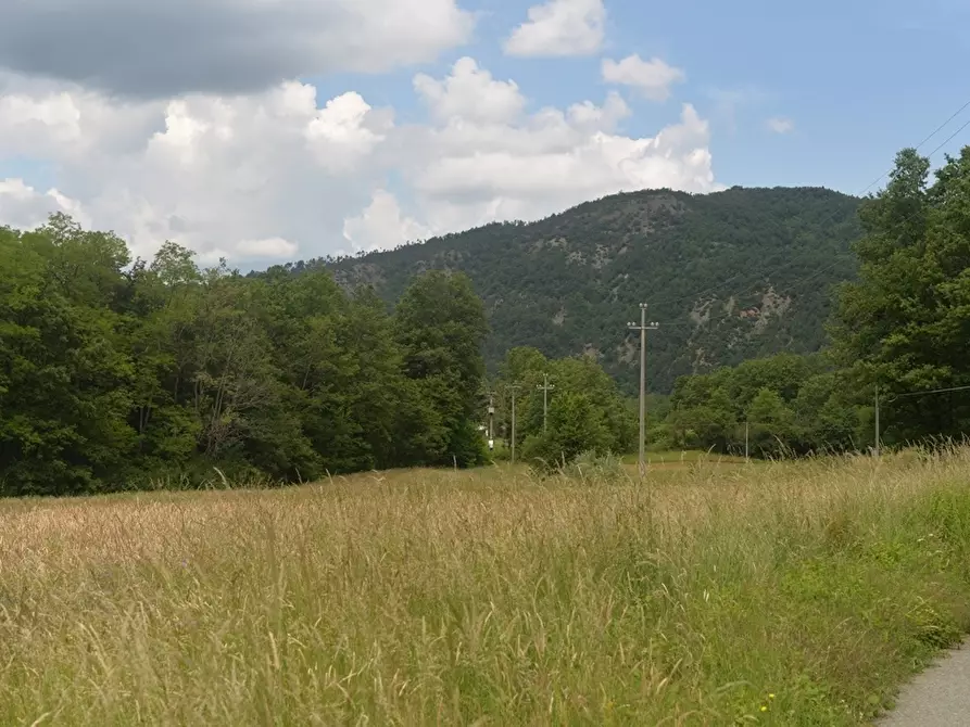 Immagine 6 di Terreno edificabile in vendita  a Sassello