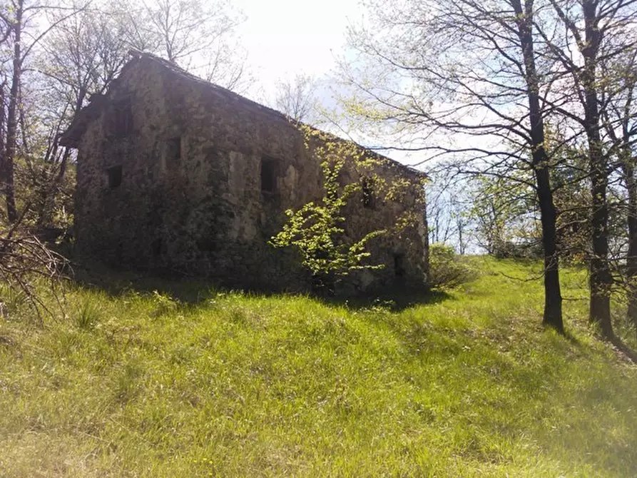 Immagine 9 di Rustico / casale in vendita  a Giusvalla