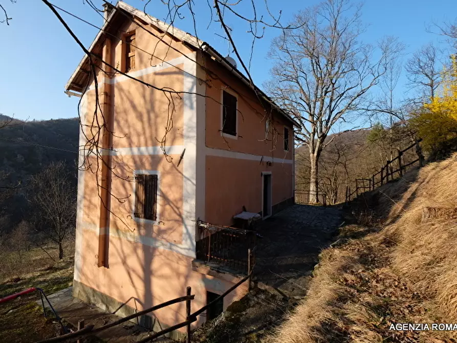 Immagine 21 di Rustico / casale in vendita  a Urbe