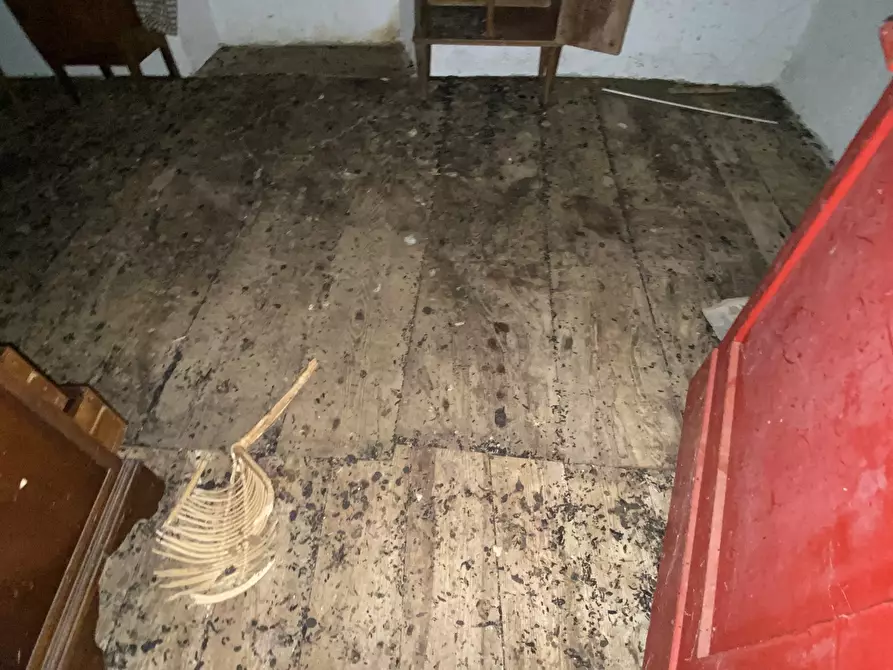 Immagine 27 di Casa indipendente in vendita  in Via Monterosso 11 a Tiglieto