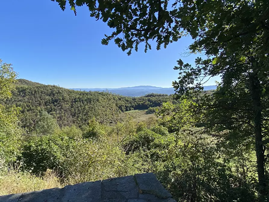 Immagine 29 di Terratetto in vendita  a Dego