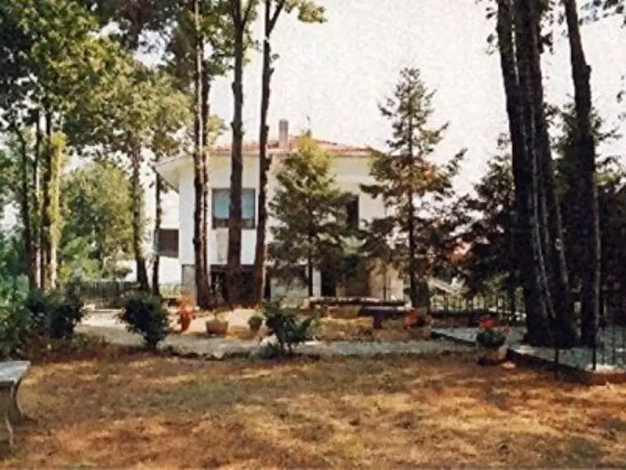 Immagine 5 di Casa bifamiliare in vendita  a Sassello