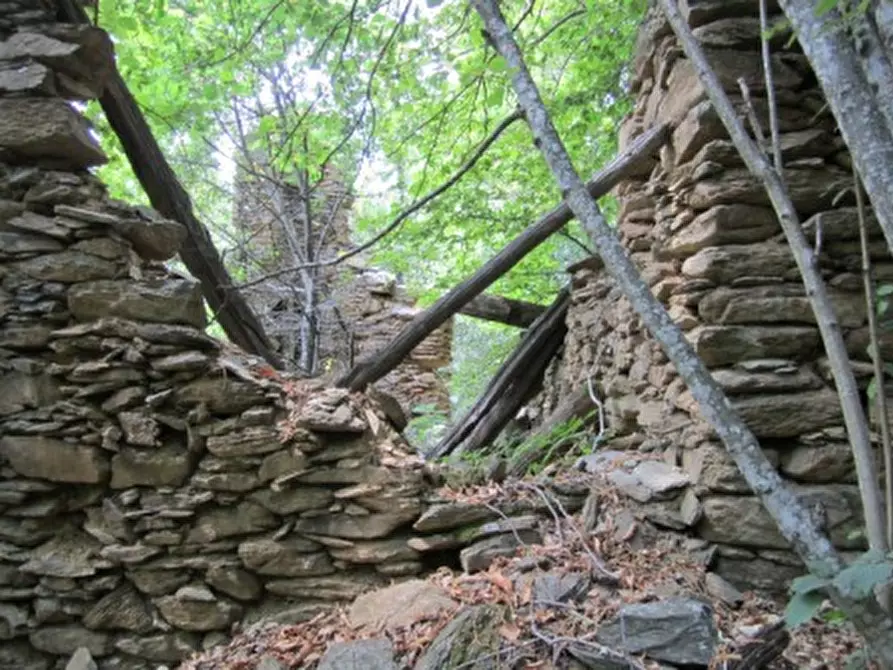 Immagine 7 di Terreno agricolo in vendita  a Sassello