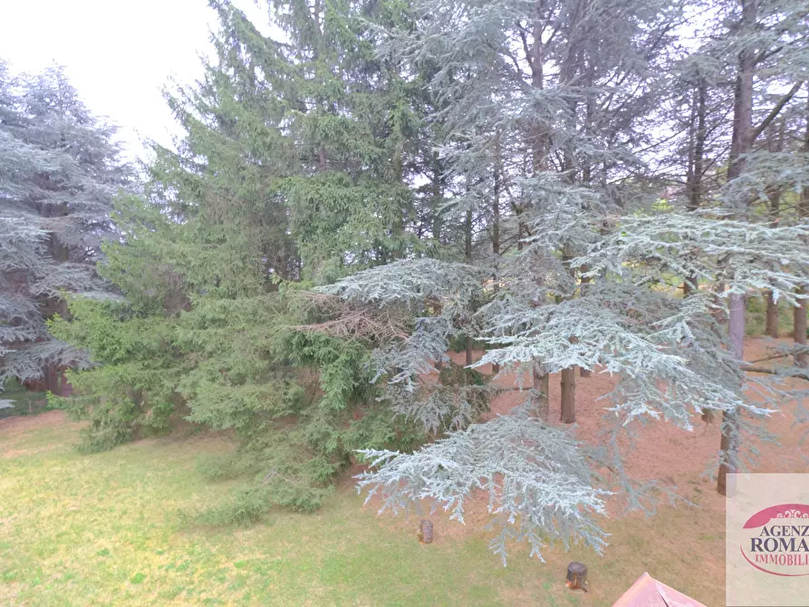 Immagine 12 di Villa in vendita  in SP210 39 a Ponzone