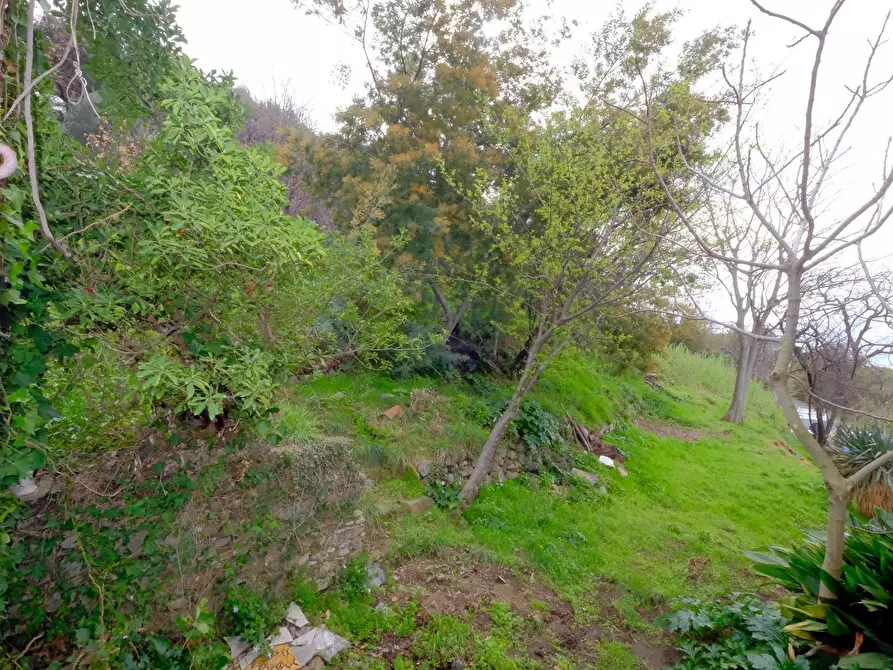 Immagine 30 di Casa indipendente in vendita  in Via Melina 22 a Celle Ligure