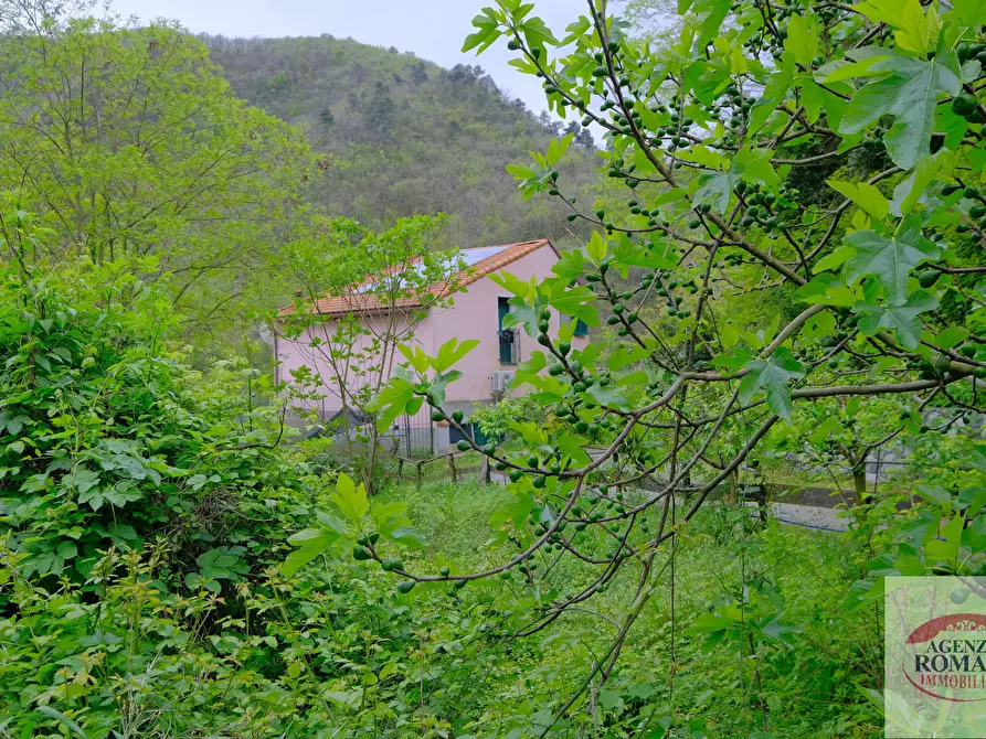 Immagine 1 di Rustico / casale in vendita  in Località Corona 175 a Stella