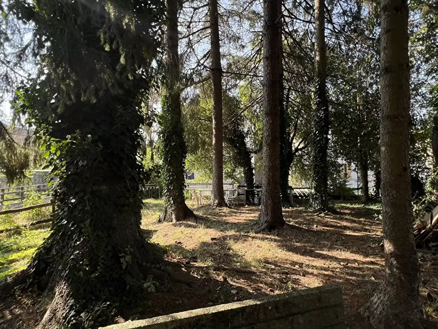 Immagine 7 di Appartamento in vendita  in Via Sorerolo 2 a Sassello