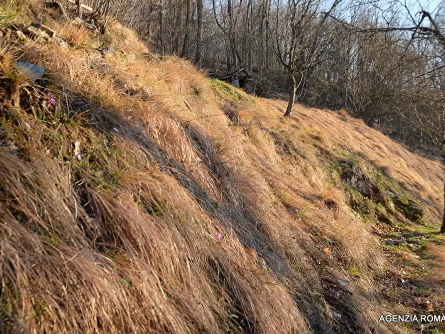 Immagine 20 di Rustico / casale in vendita  a Urbe